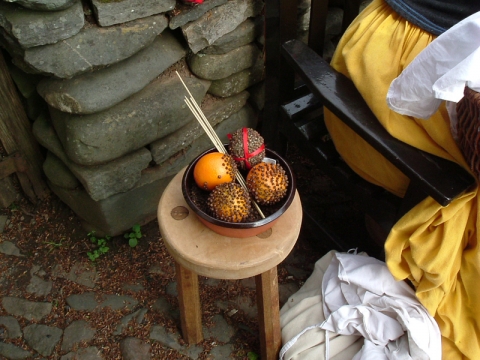 SK at St Fagans May 2004