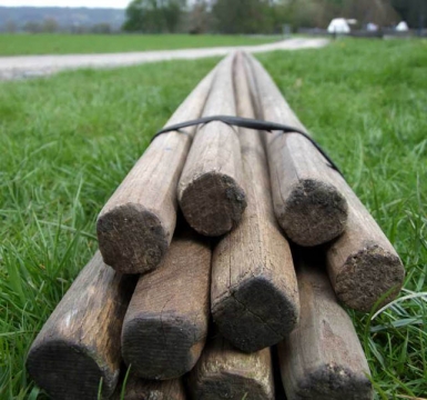 SK at Dinefwr Park May 2006