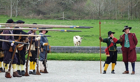 SK at Dinefwr Park May 2006
