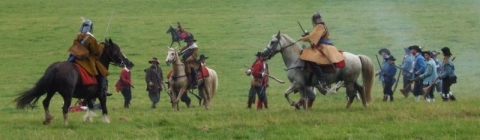 SK at Dinefwr Park Aug 2007