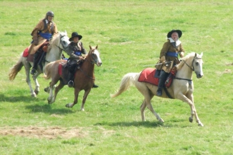 SK at Dinefwr Park Aug 2007