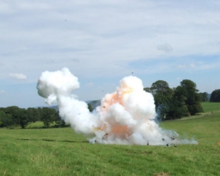 SK at Dinefwr Park Aug 2007