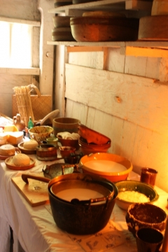 SK at St Fagans Oct 2008