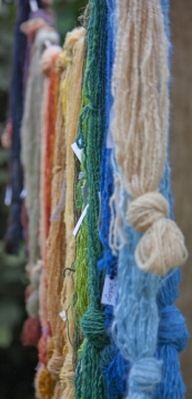 ECWS at St Fagans August 2011