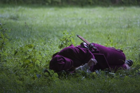 ECWS at St Fagans August 2011