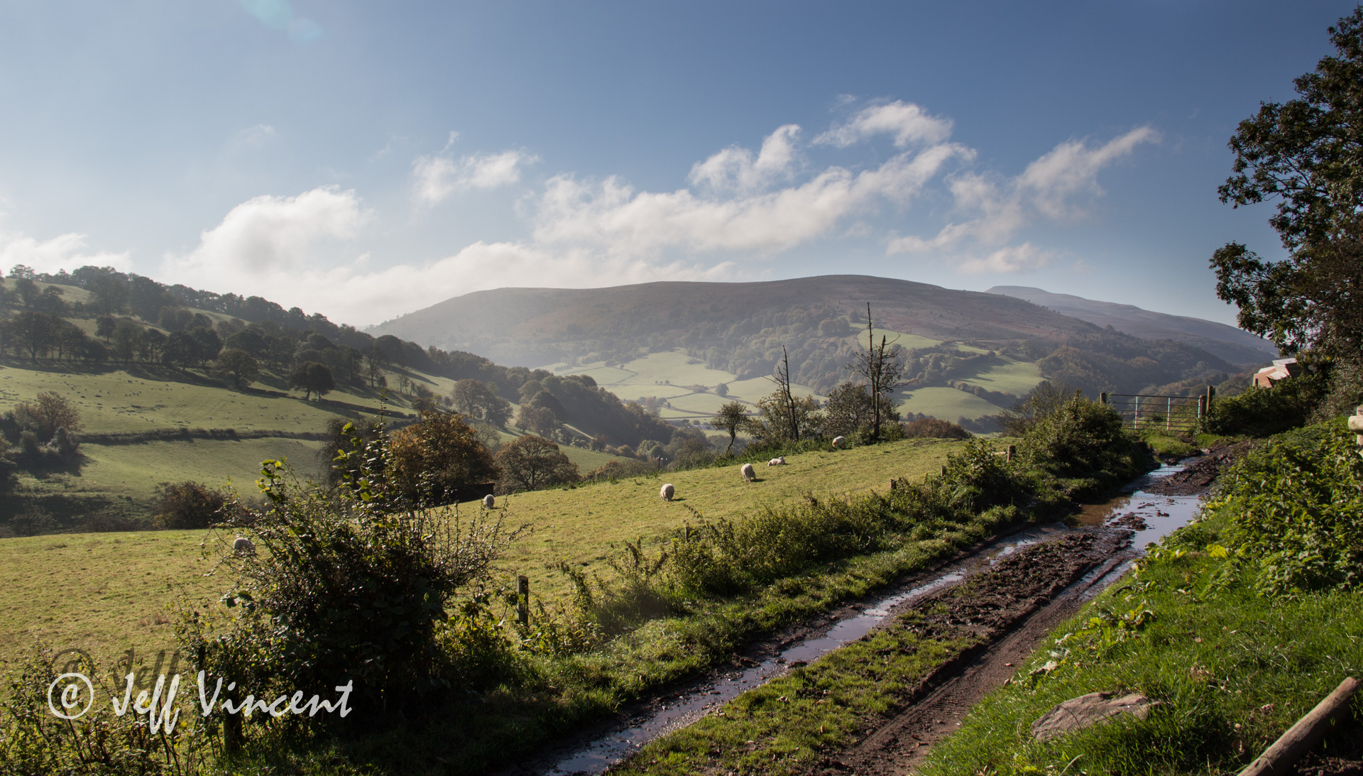The fog lifts