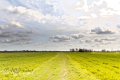 Suffolk Sky