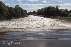 Blackweir