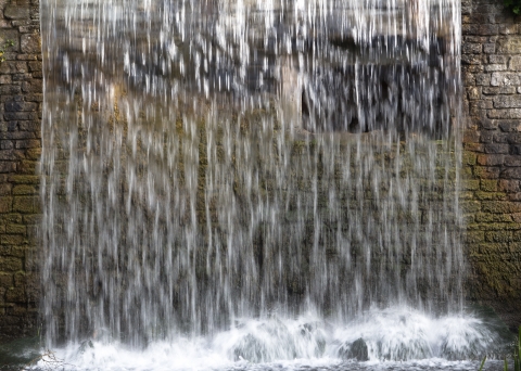 SK at Newstead Abbey Jun 2012