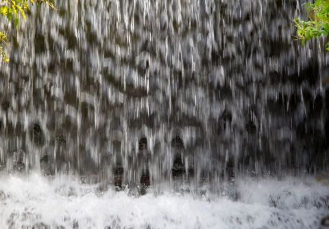 SK at Newstead Abbey Jun 2012