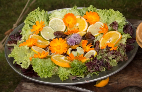 ECWS at St Fagans Aug 2012