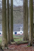 2013_02_09_8110.jpg