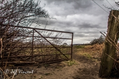 Gateway