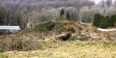 Morganstown Motte
