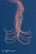 RAF Falcons
