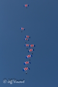 RAF Falcons