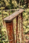 Old Gate