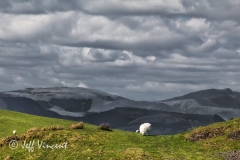 Machynlleth Mountain Road