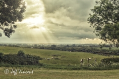 Naseby Battlefield
