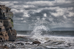 Breaking Wave
