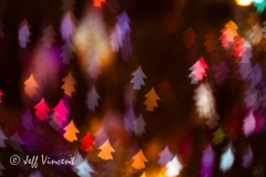 Christmas Lights