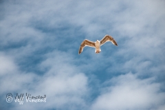 Dunwich Beach flyby