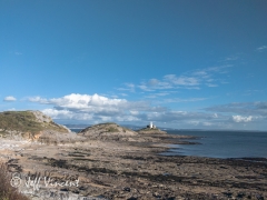 Bracelet Bay