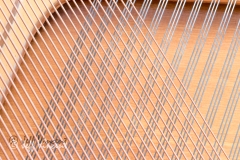 Highly Strung