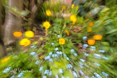 Flower Rush