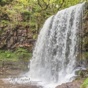 Sgwd yr Eira Waterfall
