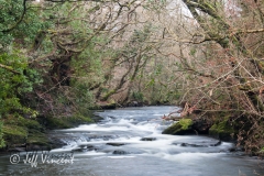 River Dulais above Aberdulais Falls