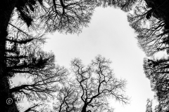 Aberdulais Tin Works