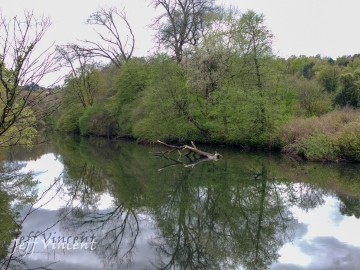 River Taff (picture taken from under M4)