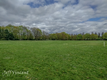 Llandaff Fields