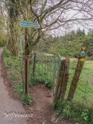 Foot path