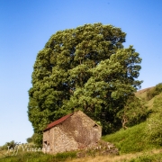 2012_05_26_5831-Edit.jpg