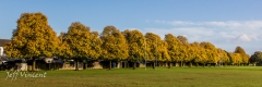 2013_10_23_0017.jpg