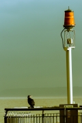 2014_10_27_4508.jpg