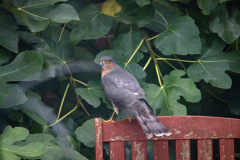 2021_10_23_14343126217-Edit