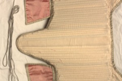 Stays-inside-view-300x200