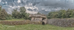 Tinkinswood