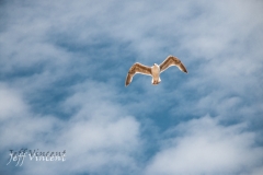 Dunwich Beach flyby