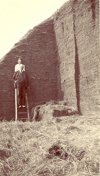 wdf The-Hayrick-nearby-the-meadow-Apr-16