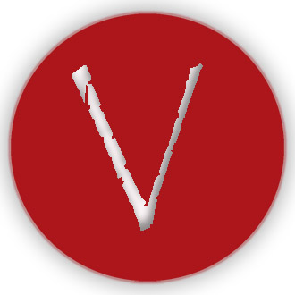 Vincents.org.uk