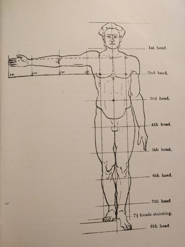 eight heads high four head wide