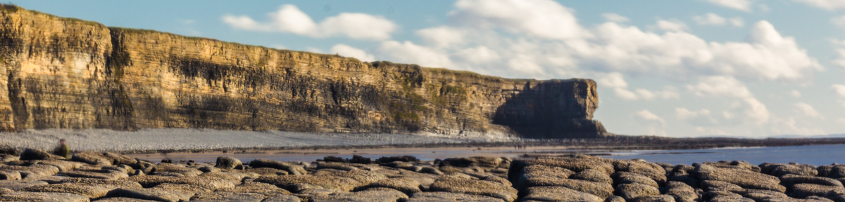 The Vincent Conglomeration