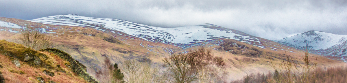 The Vincent Conglomeration