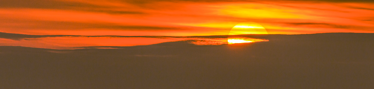 The Vincent Conglomeration