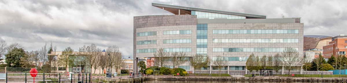 The Vincent Conglomeration