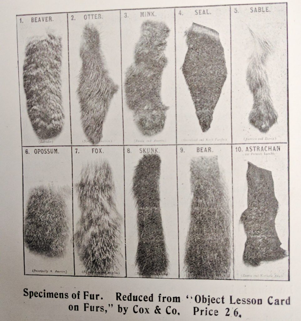 Specimens of Fur